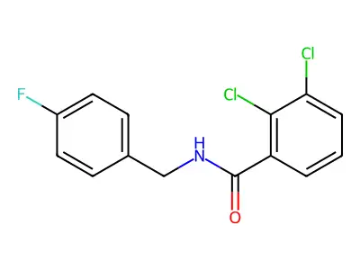 2,3-dichloro-N-[(4-fluorophenyl)methyl]benzamide structure