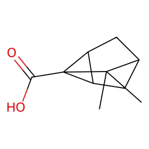 Tricyclo(2.2.1.02,6)heptane-1-carboxylic acid, 7,7-dimethyl- structure