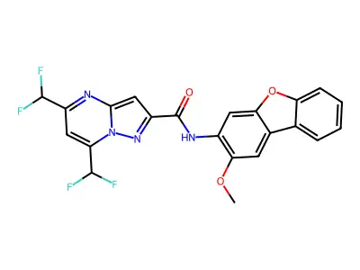 5,7-bis(difluoromethyl)-N-(2-methoxydibenzo[b,d]furan-3-yl)pyrazolo[1,5-a]pyrimidine-2-carboxamide structure