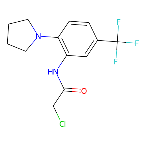2-chloro-N-[2-(pyrrolidin-1-yl)-5-(trifluoromethyl)phenyl]acetamide structure