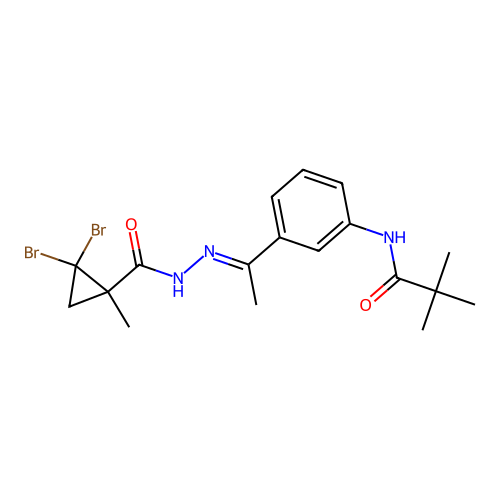 2,2-dibromo-N-[(E)-1-[3-(2,2-dimethylpropanoylamino)phenyl]ethylideneamino]-1-methylcyclopropane-1-carboxamide structure