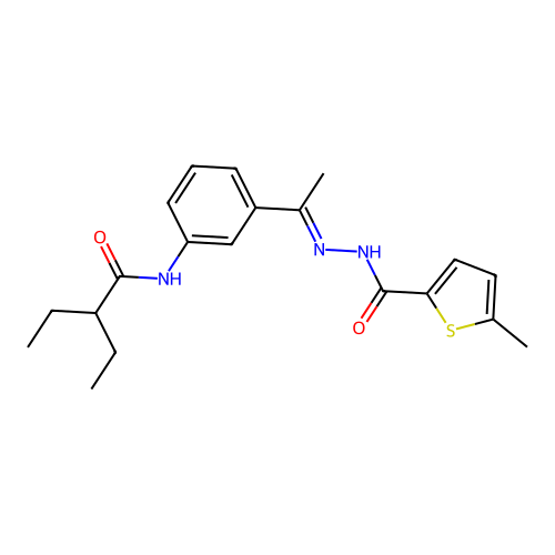 N-[(E)-1-[3-(2-ethylbutanoylamino)phenyl]ethylideneamino]-5-methylthiophene-2-carboxamide structure