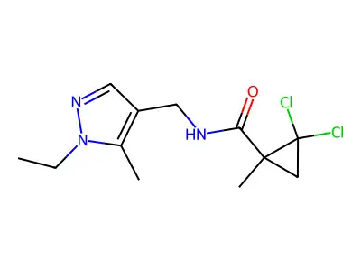 2,2-dichloro-N-[(1-ethyl-5-methyl-1H-pyrazol-4-yl)methyl]-1-methylcyclopropanecarboxamide structure