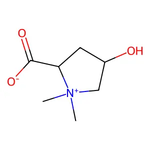 药水苏碱 structure