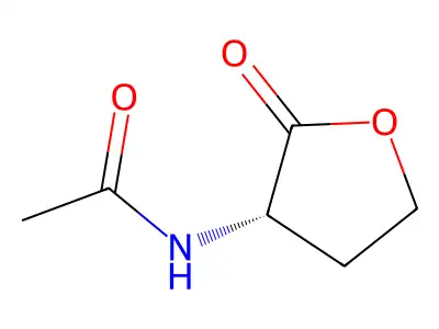 N-(2-oxooxolan-3-yl)acetamide structure