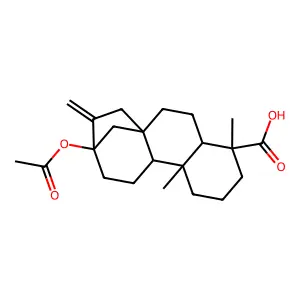 Negletein structure