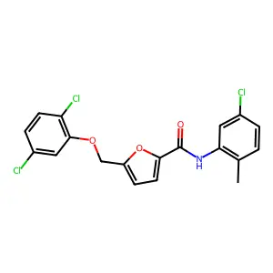N-(5-chloro-2-methylphenyl)-5-[(2,5-dichlorophenoxy)methyl]furan-2-carboxamide structure
