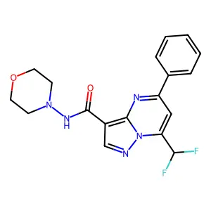 7-(difluoromethyl)-N-morpholin-4-yl-5-phenylpyrazolo[1,5-a]pyrimidine-3-carboxamide structure