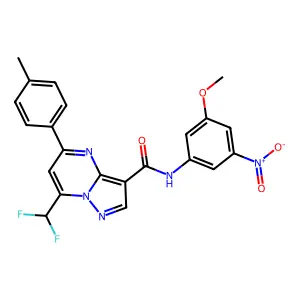 7-(difluoromethyl)-N-(3-methoxy-5-nitrophenyl)-5-(4-methylphenyl)pyrazolo[1,5-a]pyrimidine-3-carboxamide structure