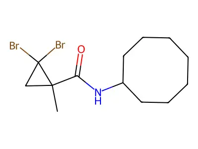 2,2-dibromo-N-cyclooctyl-1-methylcyclopropanecarboxamide structure