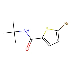 5-bromo-N-tert-butylthiophene-2-carboxamide structure