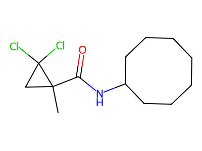 2,2-dichloro-N-cyclooctyl-1-methylcyclopropanecarboxamide structure