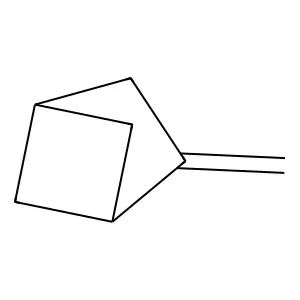 2-Methylenebicyclo[2.1.1]hexane structure