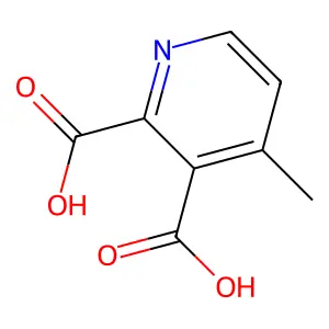 4-Methylpyridine-2,3-dicarboxylic acid structure