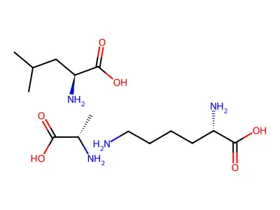 Poly(lysyl-(leucyl-poly-alanine)) structure