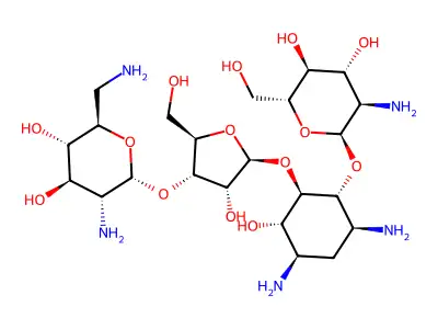 Neomycin F structure