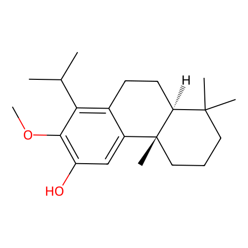 Dispermol structure
