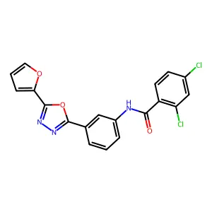 2,4-dichloro-N-[3-[5-(furan-2-yl)-1,3,4-oxadiazol-2-yl]phenyl]benzamide structure