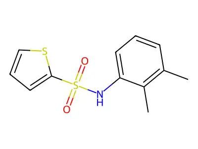 N-(2,3-二甲基苯基)噻吩-2-磺酰胺 structure