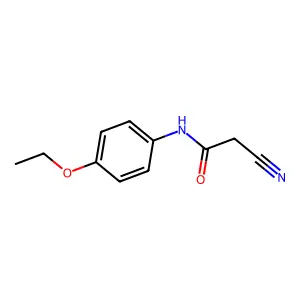 2-cyano-N-(4-ethoxyphenyl)acetamide structure