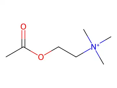 乙酰胆碱 structure