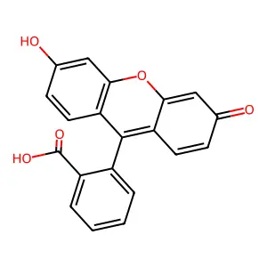 荧光素 structure