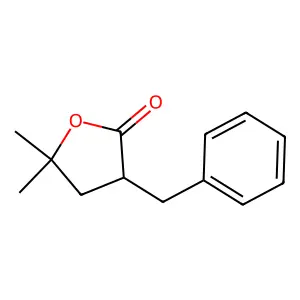 3-Benzyl-5,5-dimethyloxolan-2-one structure