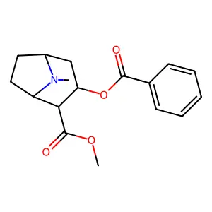 Pseudoallococaine structure