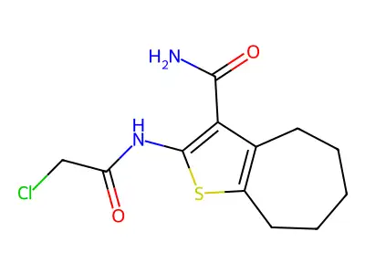 2-[(chloroacetyl)amino]-5,6,7,8-tetrahydro-4H-cyclohepta[b]thiophene-3-carboxamide structure