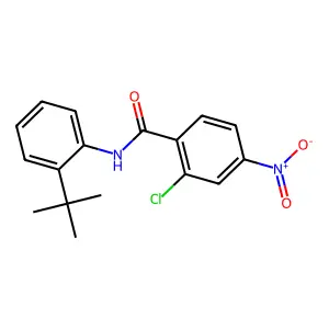 N-(2-Tert-butylphenyl)-2-chloro-4-nitrobenzamide structure