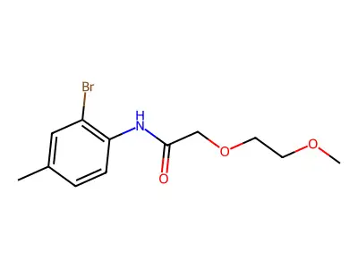 N-(2-bromo-4-methylphenyl)-2-(2-methoxyethoxy)acetamide structure
