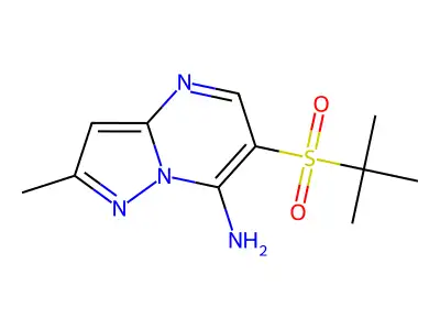 6-(Tert-butylsulfonyl)-2-methylpyrazolo[1,5-a]pyrimidin-7-amine structure