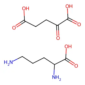 Ornithine oxoglurate structure