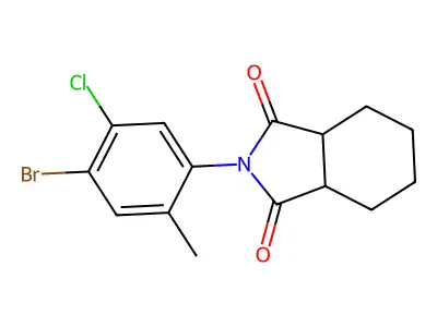 2-(4-bromo-5-chloro-2-methylphenyl)hexahydro-1H-isoindole-1,3(2H)-dione structure