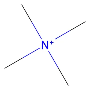 四甲基铵盐 structure