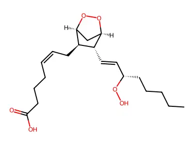 前列腺素G2 structure