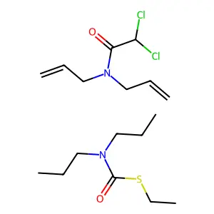 Eptam Super structure