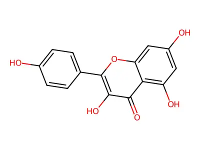 山柰酚 structure