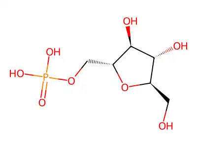 1,6-Dimethyl-4-Oxo-1,4-Dihydro-Quinoline-3-Carboxylic Acid structure