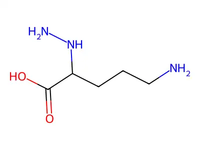 alpha-Hydrazinoornithine structure