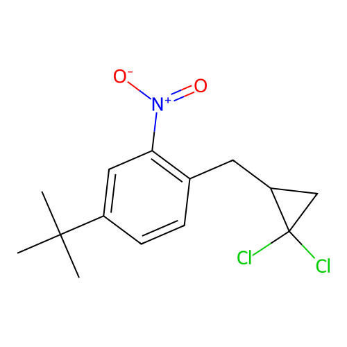 4-Tert-butyl-1-[(2,2-dichlorocyclopropyl)methyl]-2-nitrobenzene structure