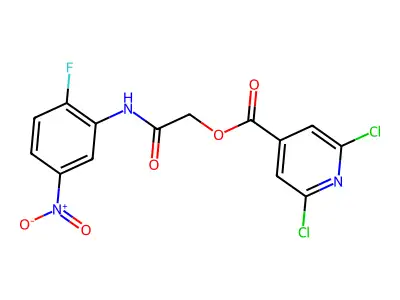 [(2-Fluoro-5-nitrophenyl)carbamoyl]methyl 2,6-dichloropyridine-4-carboxylate structure