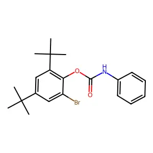 2-Bromo-4,6-di-tert-butylphenyl phenylcarbamate structure