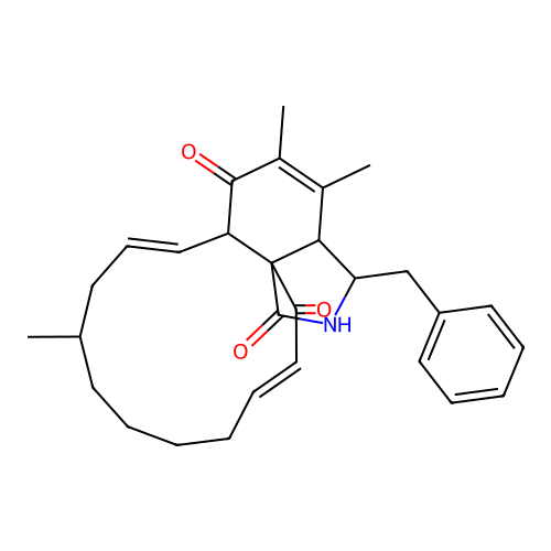 Protophomine structure