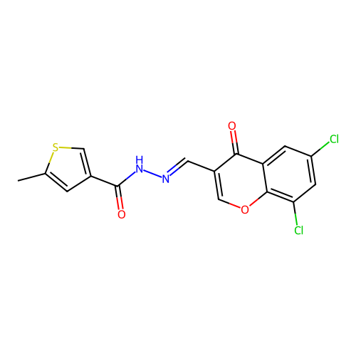 N-[(E)-(6,8-dichloro-4-oxochromen-3-yl)methylideneamino]-5-methylthiophene-3-carboxamide structure