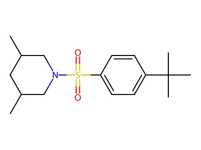 1-[(4-Tert-butylphenyl)sulfonyl]-3,5-dimethylpiperidine structure