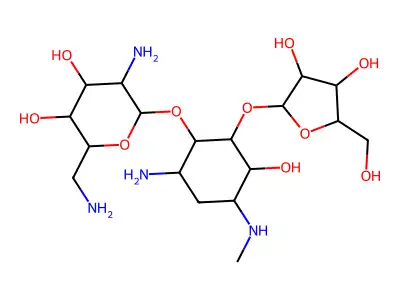 1-N-Methylribostamycin structure