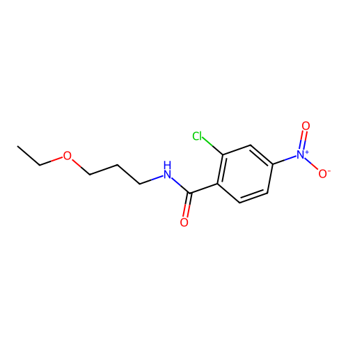 2-chloro-N-(3-ethoxypropyl)-4-nitrobenzamide structure