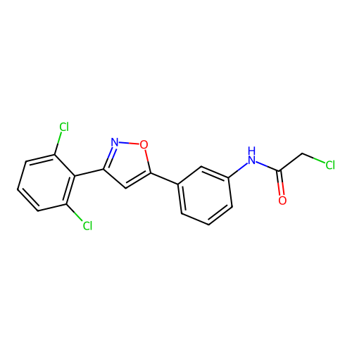 2-chloro-N-[3-[3-(2,6-dichlorophenyl)isoxazol-5-yl]phenyl]acetamide structure