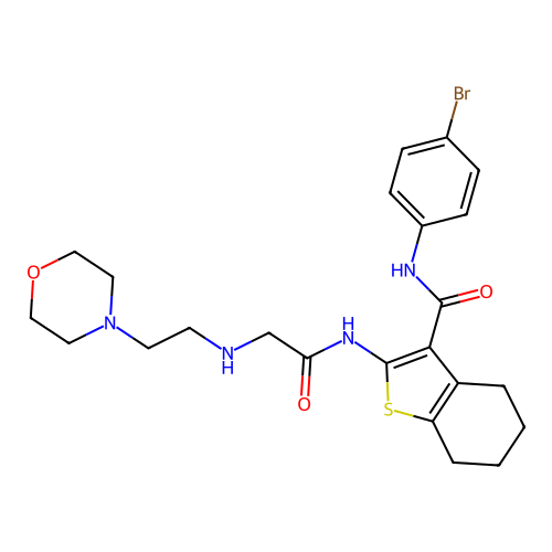 N-(4-bromophenyl)-2-({N-[2-(morpholin-4-yl)ethyl]glycyl}amino)-4,5,6,7-tetrahydro-1-benzothiophene-3-carboxamide structure